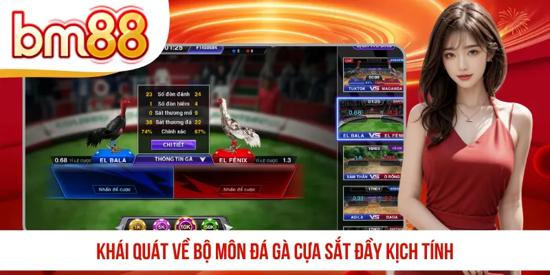 Khái quát về bộ môn đá gà cựa sắt đầy kịch tính